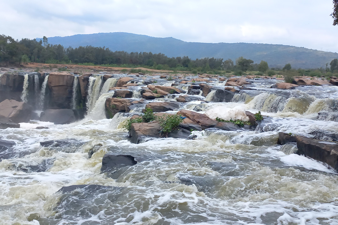 The sad story of Fourteen Falls: sewage, waste take the shine off one of Kenya’s most famous tourist attractions 3 fourteen falls